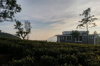 The Umber Tea, Kotagiri The Umber Tea, Kotagiri