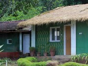 Dandeli Wild Craft , Dandeli Dandeli Wild Craft , Dandeli
