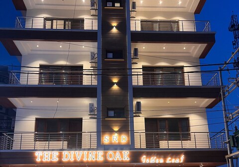 The Divine Oak Golden Leaf