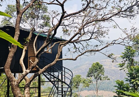 Wood Bee Cottages and Tree house