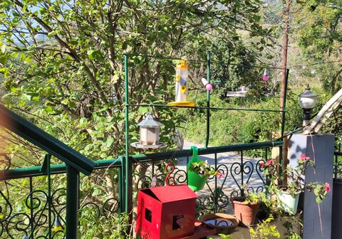 The Fragrance Bhimtal