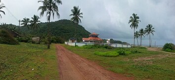 Saturn Beach Cottages, Goa Saturn Beach Cottages, Goa