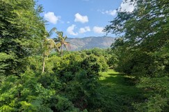 Serene farm stay in Kollengode, Chittur Serene farm stay in Kollengode, Chittur