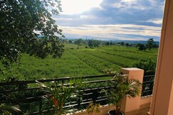 Airport luxury nature homestay@ 10Min from Airport, Dehradun Airport luxury nature homestay@ 10Min from Airport, Dehradun