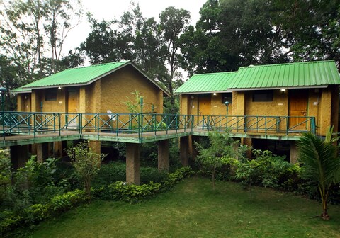 MPT White Tiger Forest Lodge, Bandhavgarh