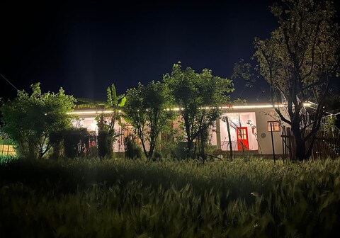 Home In Earth