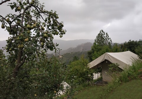 HimView Camp Mukteshwar