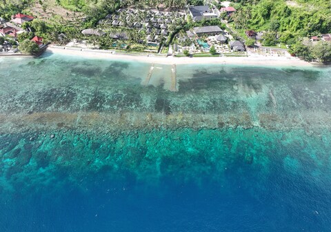 Seven Dreams A Pramana Experience