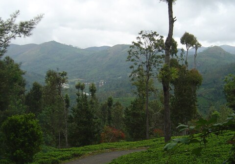 Trilan Cottages - Tea Estate - Kannerimukku