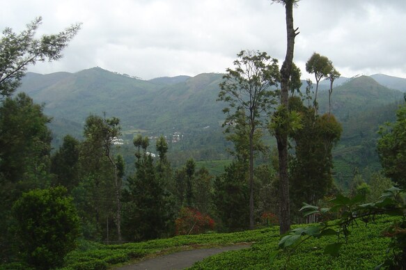 Trilan Cottages - Tea Estate - Kannerimukku