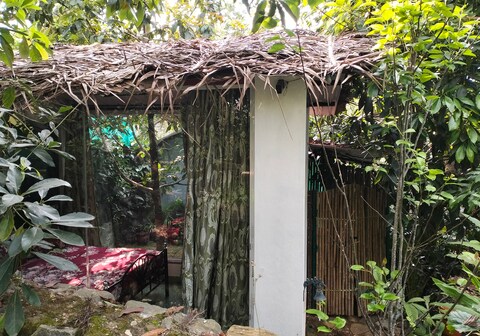 Jungle Cabin Madhuvan
