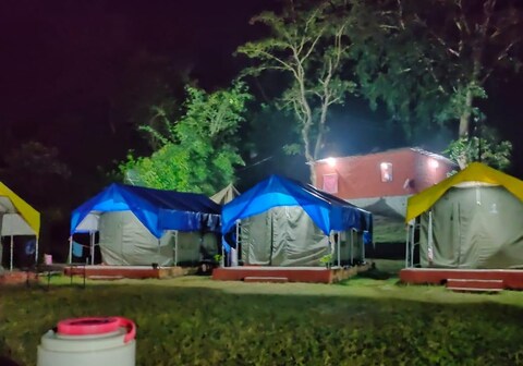 Forest Camp By Bull Adventure 0014