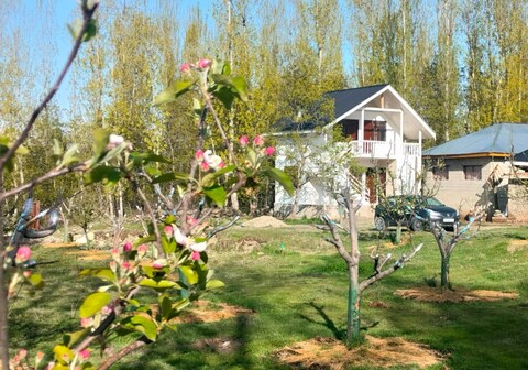 Apple haven