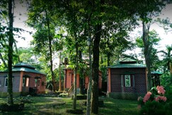 SDD Heaven View Lataguri, Lataguri SDD Heaven View Lataguri, Lataguri