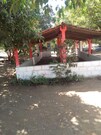 Shreeji Farm House, Junagarh Shreeji Farm House, Junagarh