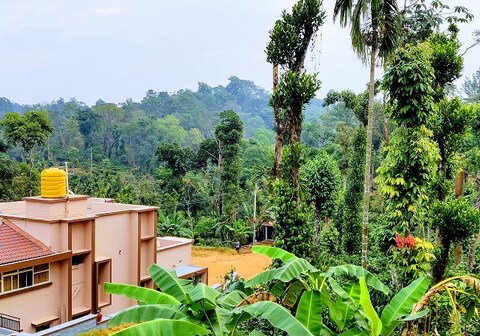 Jeevan Cool Homestay | Cottage & Villa