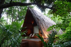 Maachli Homestay | Rooms & Guided Treks, Goa Maachli Homestay | Rooms & Guided Treks, Goa