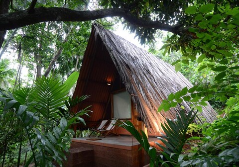 Maachli Homestay | Rooms & Guided Treks