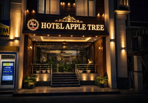 Apple Tree