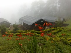 Nature Zone Resort, Munnar Nature Zone Resort, Munnar
