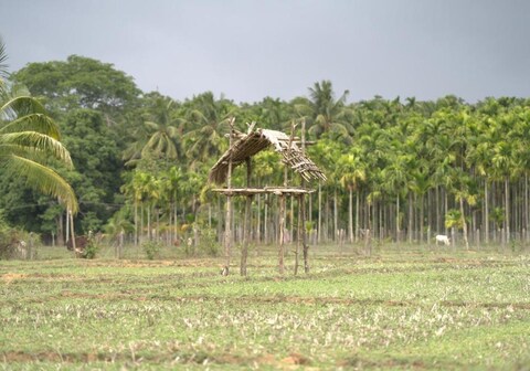 Tulsi homestay