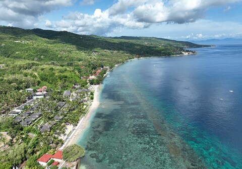 Seven Dreams A Pramana Experience