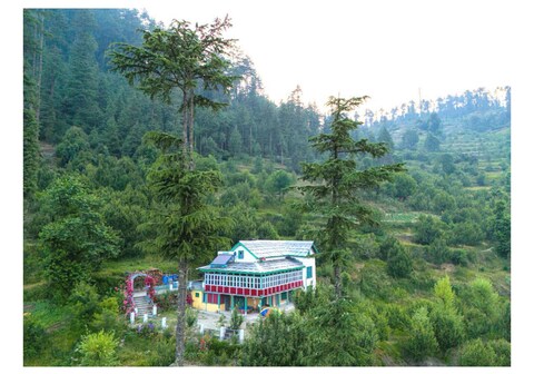 Mountain Eyr
