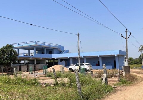 Lemon Tree Farmhouse