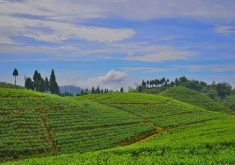 Pemagyalpo Homestay