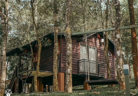 Tree Valley Resort | Valley View with Pool