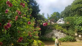 Soreena Farms - A Wandertrails Stay, Chikmagalur Soreena Farms - A Wandertrails Stay, Chikmagalur