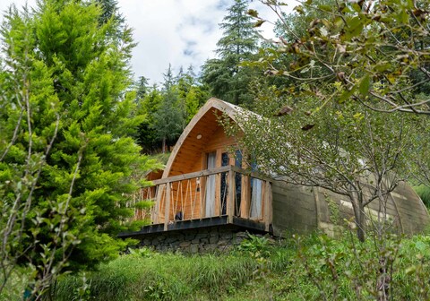 Nirvana Dhar - Part of Unique Vistas of India