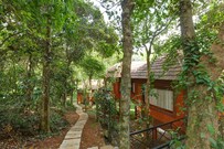Stream Valley Cottages, Wayanad Stream Valley Cottages, Wayanad