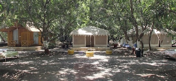 The Brook Ville, Sasan Gir The Brook Ville, Sasan Gir