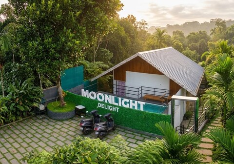 Moonlight Delight