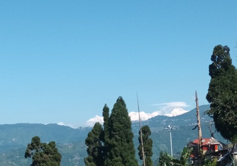 Mist N Mountain
