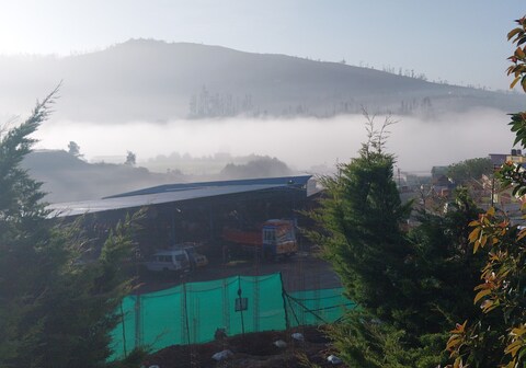 White mist cottage, Ooty