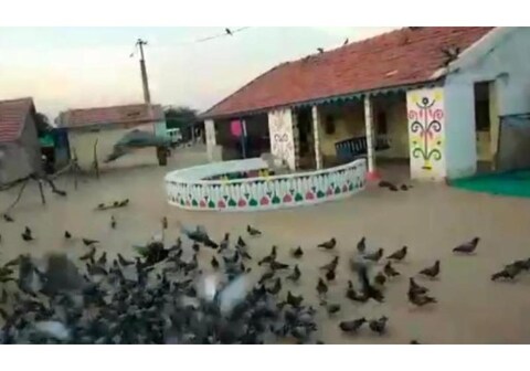 Family Homestay Kutch