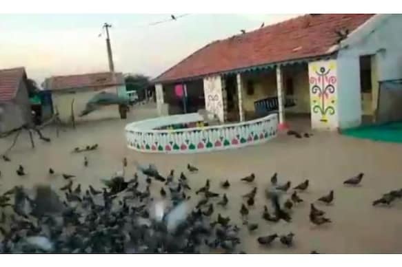 Family Homestay Kutch