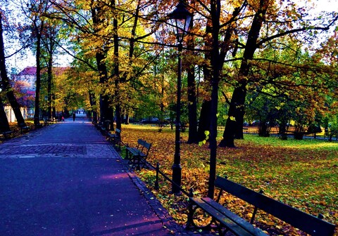 Best Western Plus Krakow Old Town