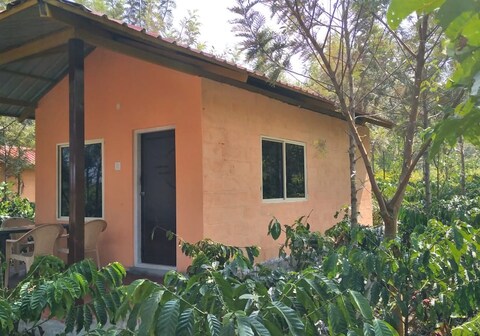 Coorg Sarayu Back Water Stay