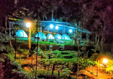 Nebula Nest Tent Camping Munnar