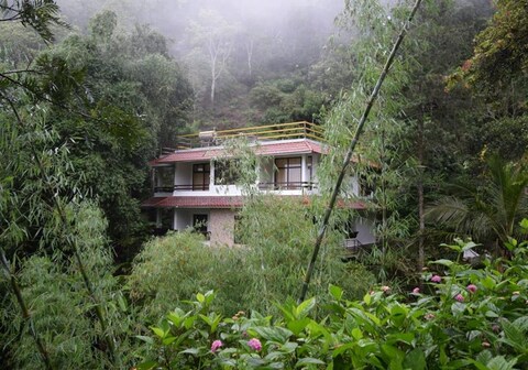 Golden Star Homestay