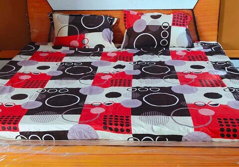 Hotel O Shree Krishna palace