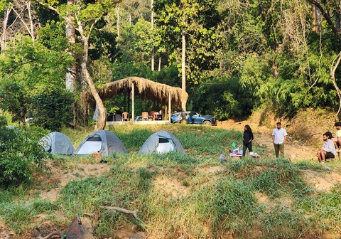 Fire fly camps