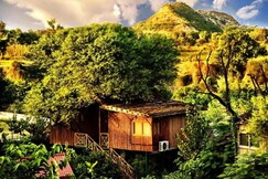 The Tree House Resort, A Club Mahindra Associate, Jaipur The Tree House Resort, A Club Mahindra Associate, Jaipur