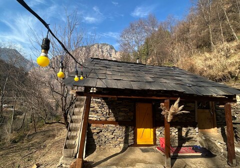 nature's nest hostel and camp