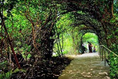 Joychandi Hill Resort, Purulia Joychandi Hill Resort, Purulia