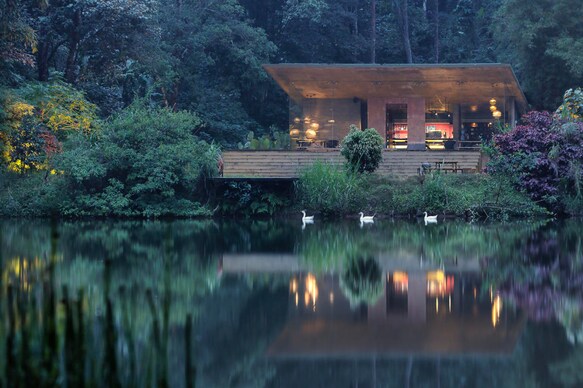 The IBNII COORG