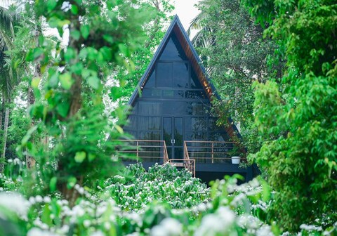 Cascara Coffee Cottages